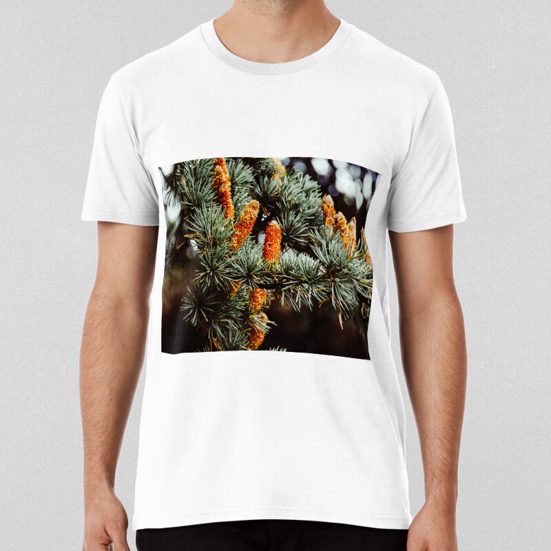 Autumn Colours T-shirt